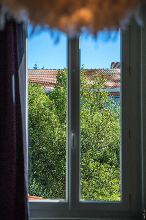 Cosy Appartement - Hypercentre - Calme - 30M2 - อัลบี ภายนอก รูปภาพ
